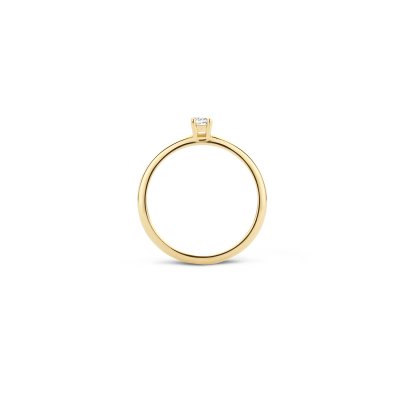 Gouden Ring Met Zirkonia