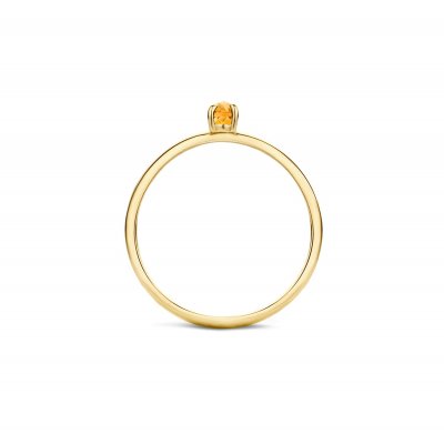 Blush Jewels Ring 1204YCI/52 