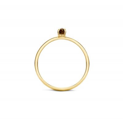 Gouden Ring Met Smokey Quartz