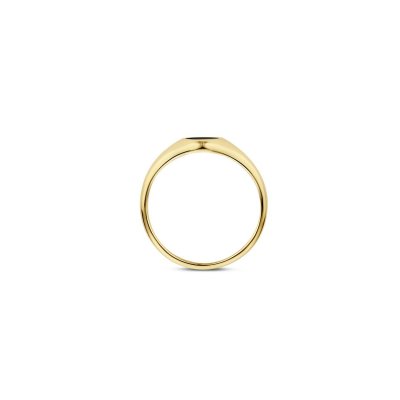 Blush Ring 1219YON - Geel Goud met Zwarte Onyx