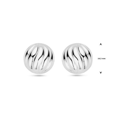 Anny's Huiscollectie Oorbellen 1339593 Zilver gerhodineerd