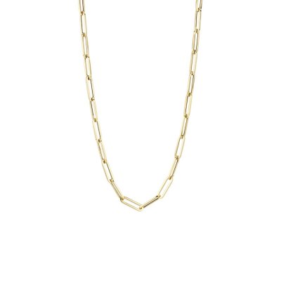 Blush Collier 3130YGO - Geel Goud (14krt.)