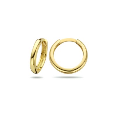 4024837 Geelgoud klapoorringen