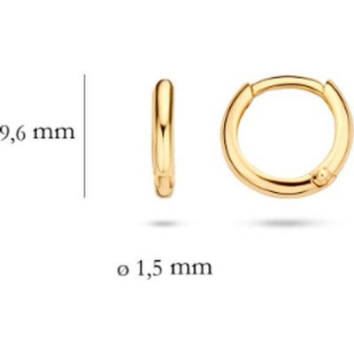 Blush Jewels Oorringen 7271YGO 