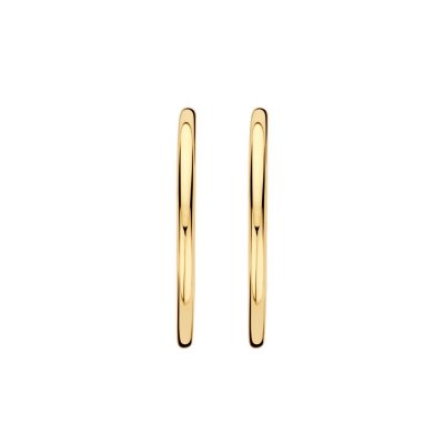 Blush Jewels Creolen 7311YGO