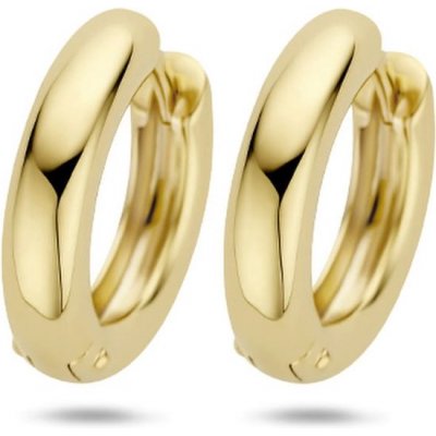 Blush Jewels Oorringen 7316YGO