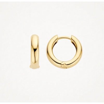 Blush Jewels Oorringen 7316YGO