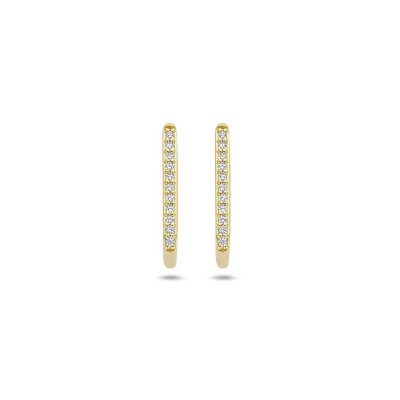 BLUSH OORBELLEN DAMES 7318YZI