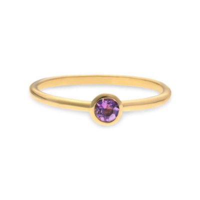 Gouden ring geboortesteen Februari Amethyst ANK1446466GR