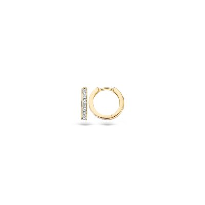 Blush Oorbellen 7129BZI -  Geel en Wit Goud (14Krt.) met Zirconia