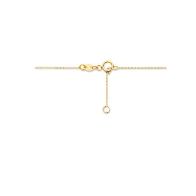 Collier bol 40 + 1,5 cm