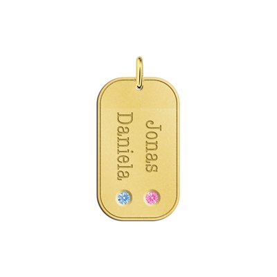 Gouden hanger met twee namen en geboortestenen van zirkonia