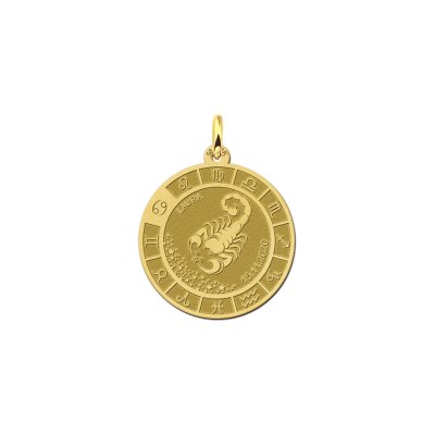 Gouden ronde hanger sterrenbeeld schorpioen 