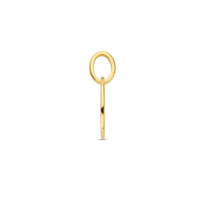 HANGER STERRENBEELD VISSEN