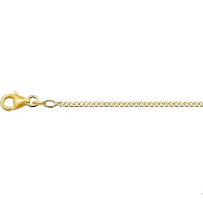 Gouden gourmet lengte collier 45cm