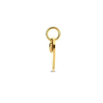 GRAVEERHANGER HARTJE DAMES