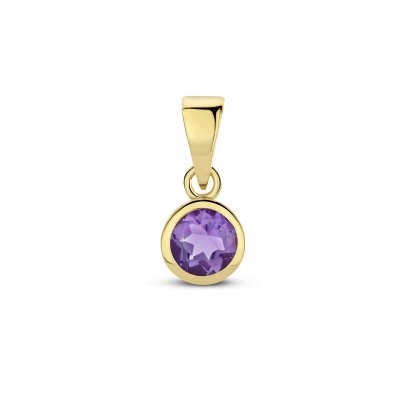 Hanger met geboortesteen amethyst 0.25ct februari