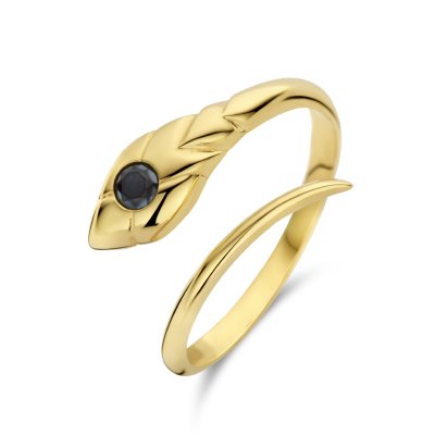 Ring slang onyx