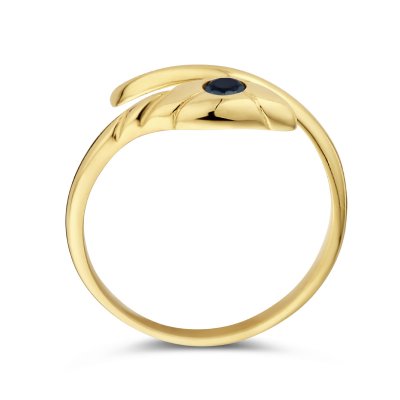 Ring slang onyx