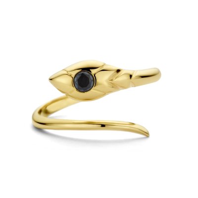 Ring slang onyx