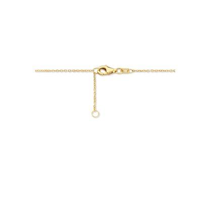 Collier Goud Edelstenen Mix 40-42cm