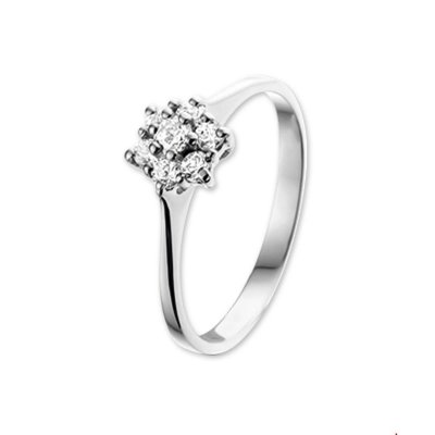 Wigouden ring zirkonia entourage mt.18