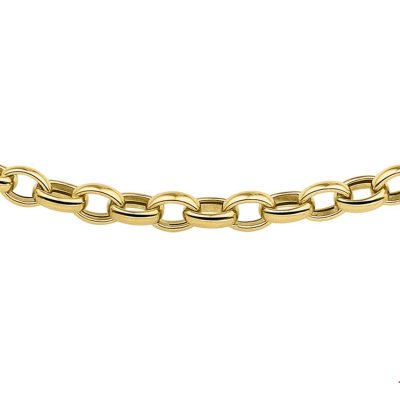 Schakel collier dames 45cm