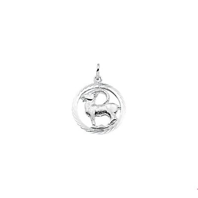 Sterrenbeeld hanger/bedel unisex